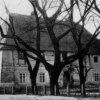 marcinowiczki 2